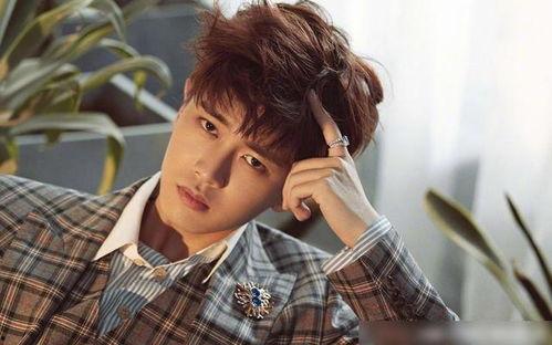 娱乐吃瓜君任嘉伦,娱乐吃瓜界的“瓜王”传奇