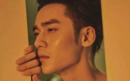 娱乐吃瓜君大事件,揭秘娱乐圈幕后风云